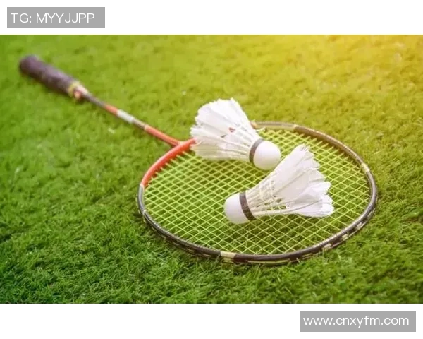 南京羽毛球队灵活性争议引发热议球迷与专家各执己见