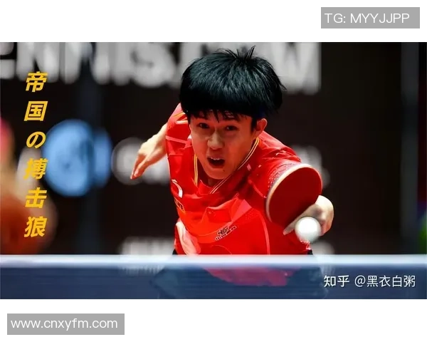 乒乓球纪实：记录杭州乒乓球队的逆袭之旅